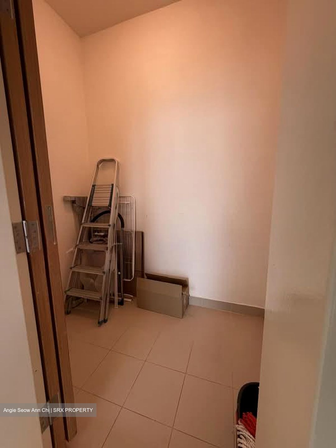 Park Infinia At Wee Nam (D11), Condominium #580907501